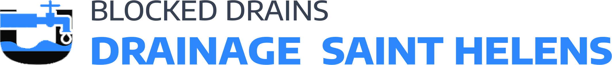 website logo